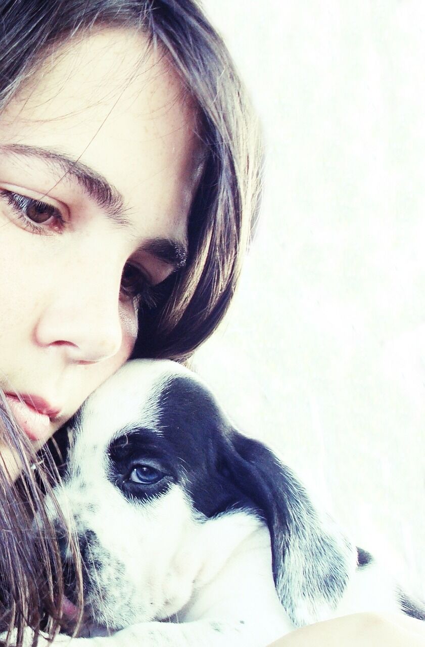 Pixabay, girl and puppy